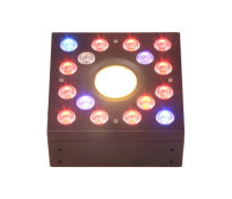 LED植物灯 革新室内农业的智能之光