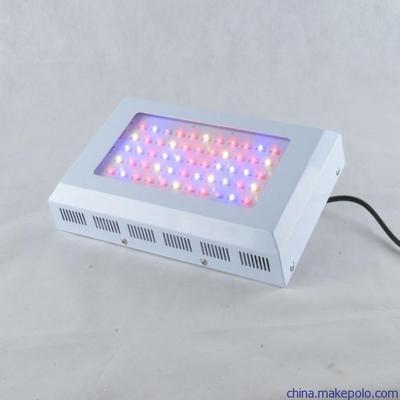 全面解析300W（99*3W）LED植物灯 价格、厂家及选购指南，掌握深圳绿靖阳光电这款室内种植利器