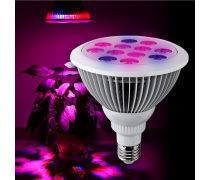 焕发生机 解锁LED植物灯的技术革命与应用智慧