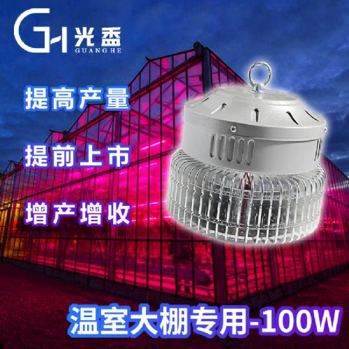 光照未来，茁壮成长——评测光盉100W LED植物补光灯