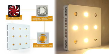 LED植物灯 冷光源却不冷 真相与奥秘探析